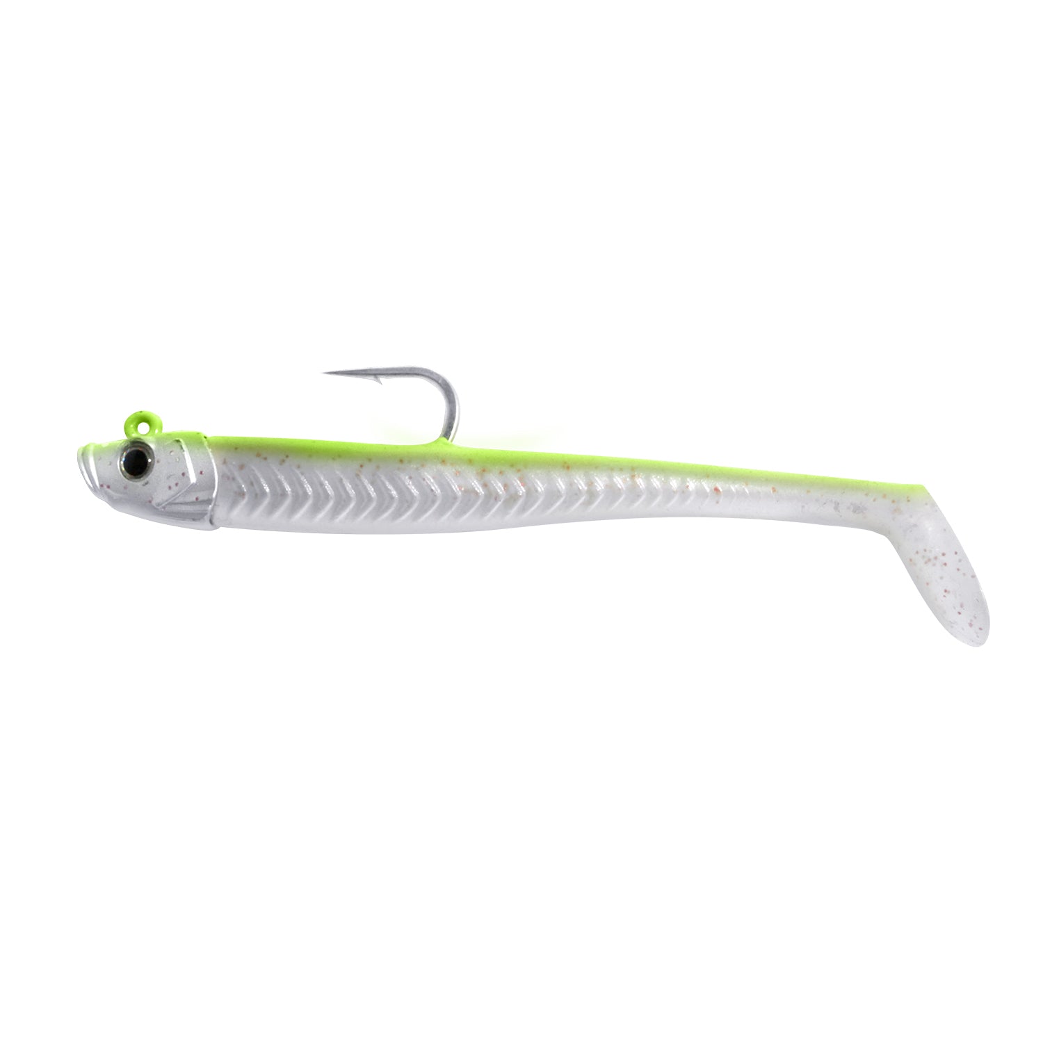 Poisson de laboratoire anguille folle 5"