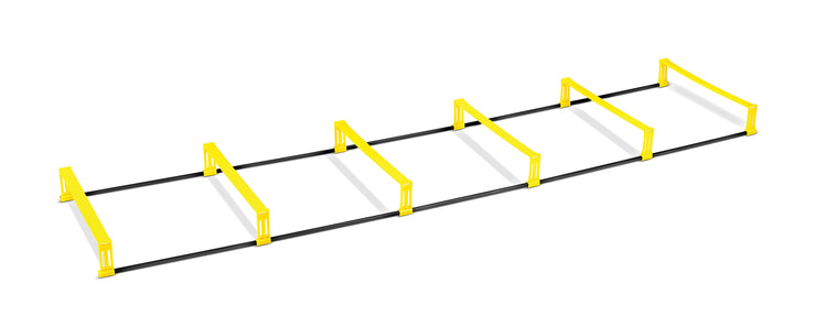 Elevation Ladder - Sports Excellence